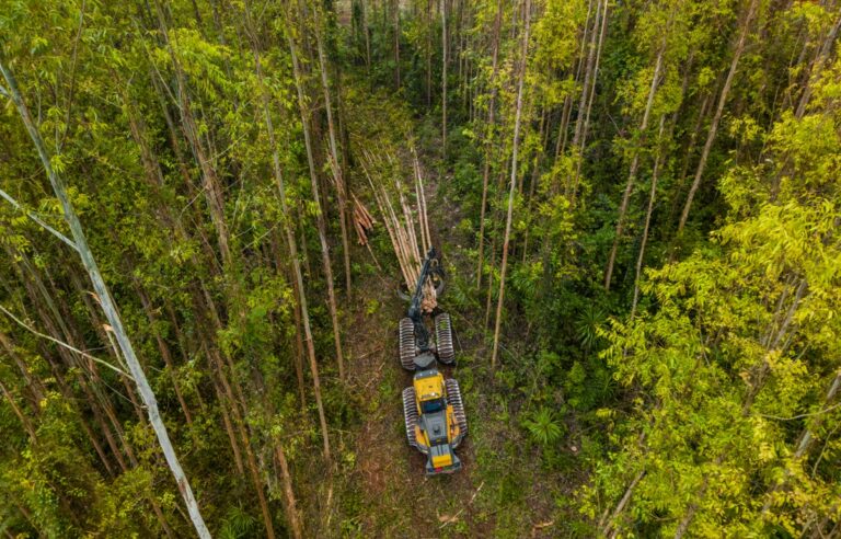 La contribución de Harbunk Ponsse al aprovechamiento forestal