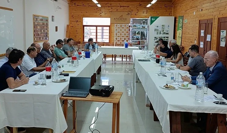 Misiones | Empresarios madereros cuestionan drásticos incrementos en tasas municipales y medidas judiciales agresivas