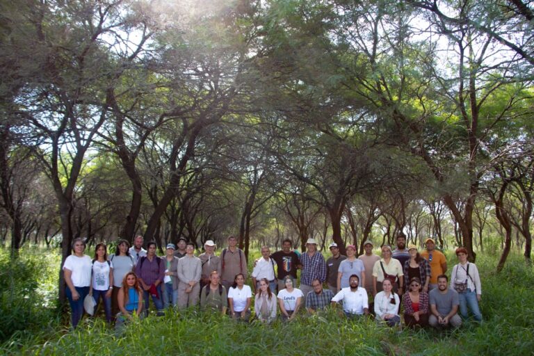 Santiago del Estero | El algarrobo blanco como eje del proyecto del INTA para la biodiversidad y producción del Chaco Argentino