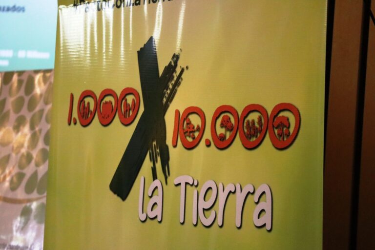 Misiones | Lanzaron un programa provincial de restauración de las chacras con reforestación de 10 mil árboles de especies nativas