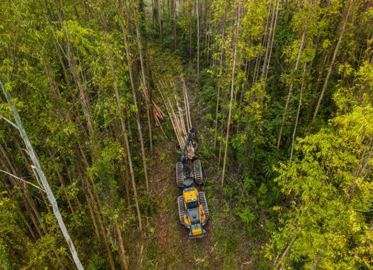 Brasil | Harbunk de Ponsse revoluciona la cosecha forestal, generando ahorros y reduciendo emisiones