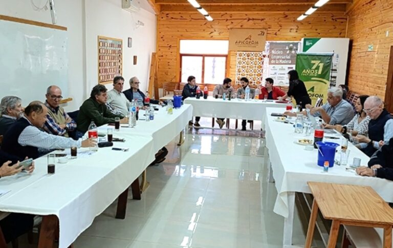 Misiones | Madereros centran sus acciones en lograr soluciones para agilizar los créditos fiscales y frente a los altos costos de la energía