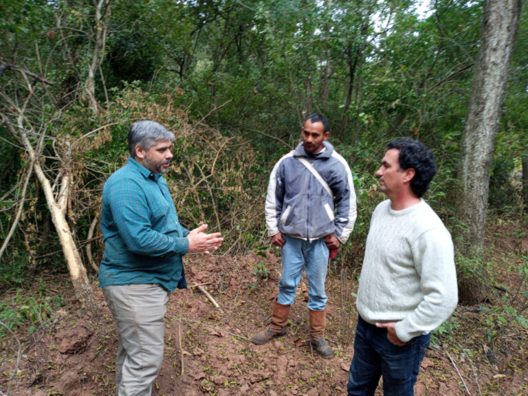 Perspectivas del mercado voluntario de carbono tras la experiencia de un propietario de bosque y una consultora argentina