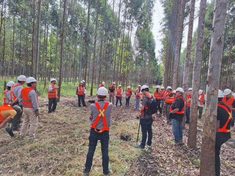 Misiones | Con visitas a establecimientos forestales, yerbateros y de investigación, cerró el primer encuentro de periodistas agropecuarios de la Mesopotamia