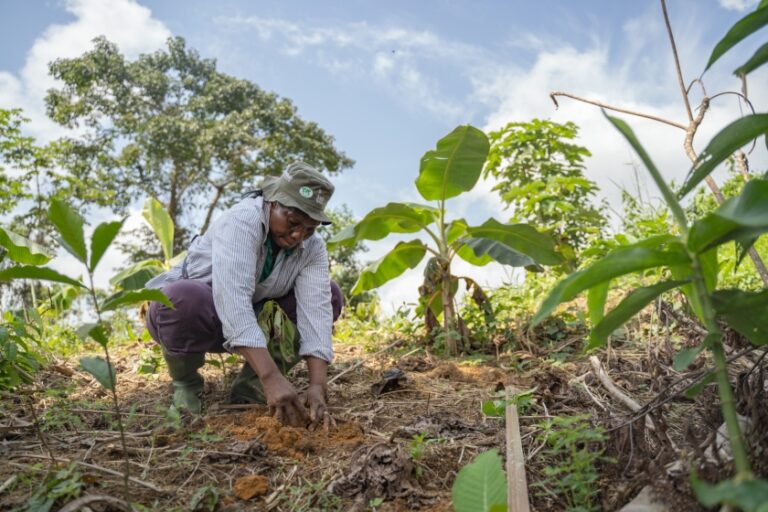 El 2024 dejó una agenda crucial para la conservación de la biodiversidad y metas para mitigar la crisis climática