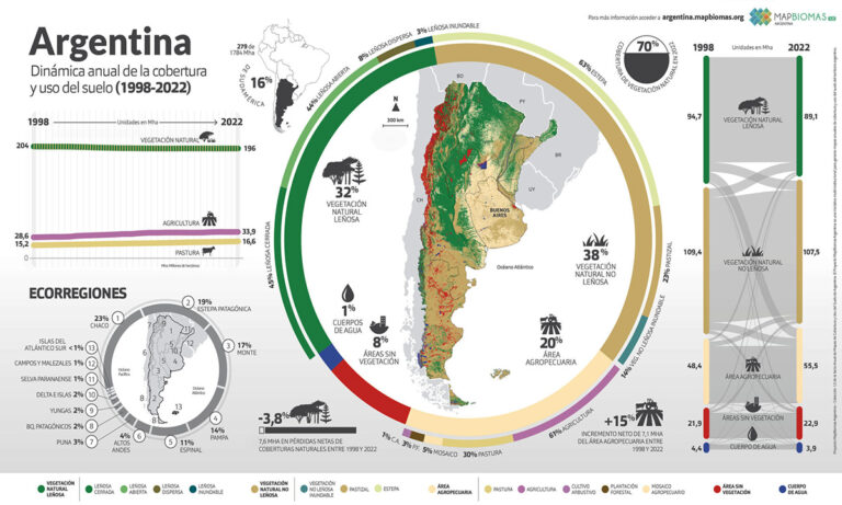 MAPBiomas Argentina | En 25 años, se perdieron 7,6 millones de hectáreas de vegetación natural, principalmente en el norte argentino