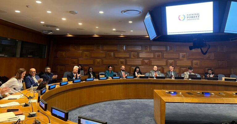 Uruguay logra incrementar un 127%  entre 1987 y 2024, con casi 2 millones de hectáreas forestadas con destino comercial