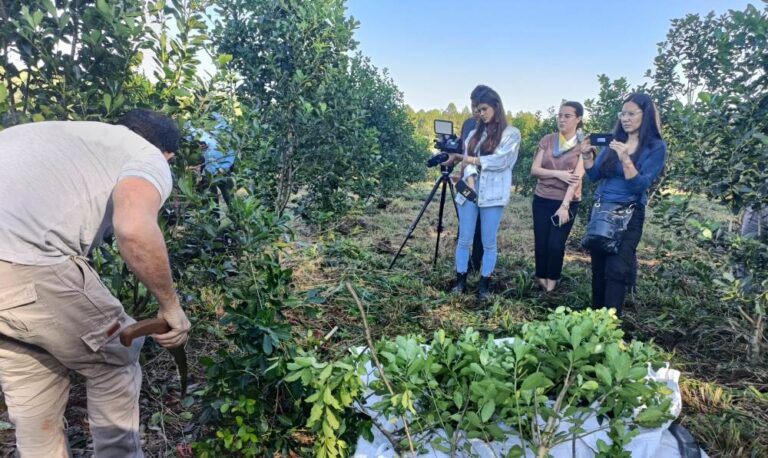 Periodismo agropecuario | Misiones será anfitriona del Primer Encuentro Mesopotámico organizado por el Círculo Thay