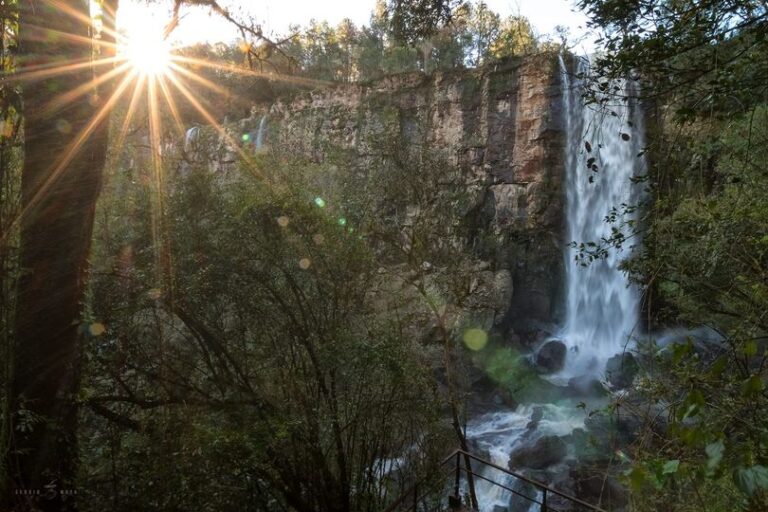 Misiones | Para proteger la naciente y cauce de agua del emblemático Salto Paca y su entorno, declararon el sitio nueva ANP en Panambí