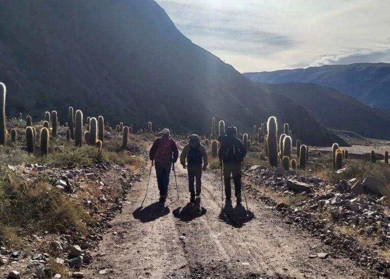 Travesía Capricornio | Caminantes de ProYungas avanzan entre encuentros, desafíos climáticos y aventuras en la ecorregión andina de Jujuy