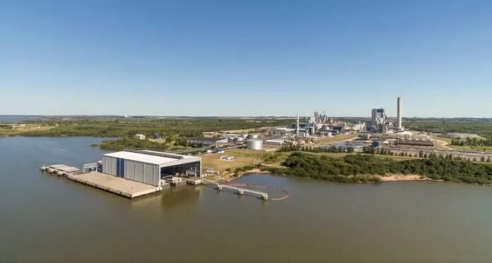 papeleira-pasteira-Paso_de_los_Toros-Uruguay