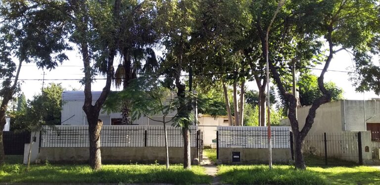 Un enfoque técnico de ensayo forestal y arbolado urbano: la experiencia de Jorge García en Elortondo, Santa Fe