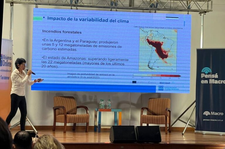 Región NEA | Experta del INTA advierte sobre el aumento de fenómenos meteorológicos extremos: se están intensificando y volviendo más frecuentes