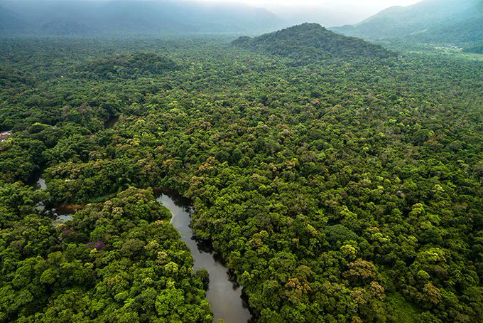 Finanzas verdes | Colombia lanzó el primer bono de biodiversidad del mundo por un monto de US$ 50 millones