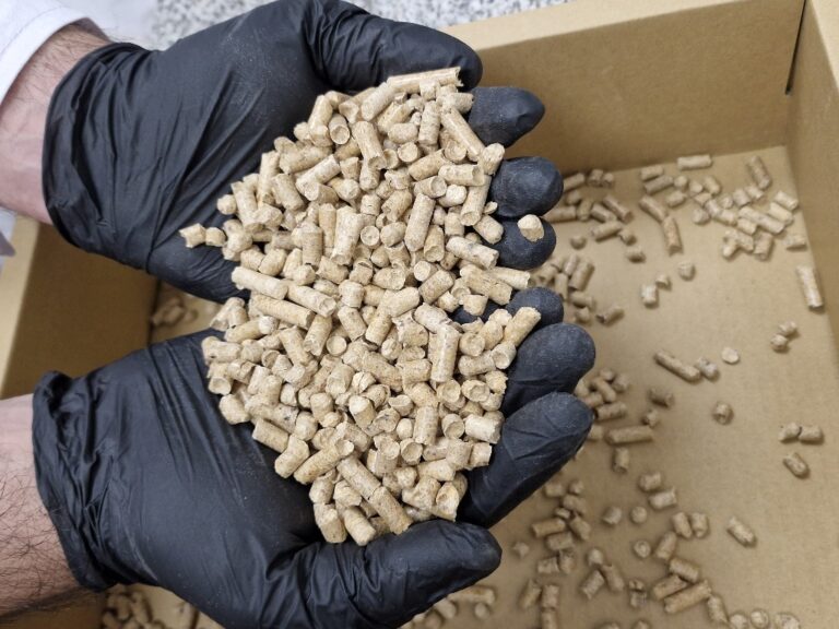 Economía circular | INTI avanza hacia una nueva certificación para impulsar la producción de biocombustibles sólidos en el sector agro y foresto-industrial
