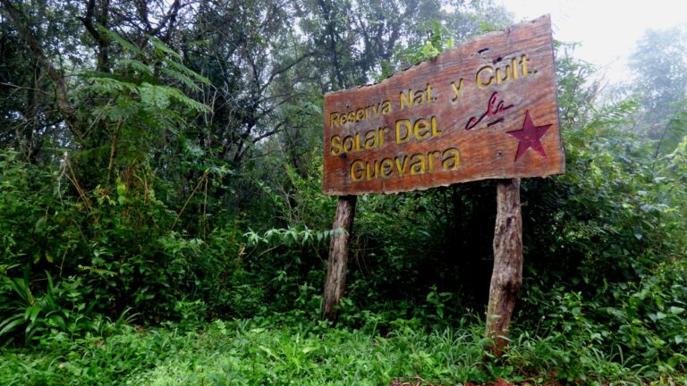Misiones | El Solar del Che Guevara ya es Reserva Natural y Cultural en Caraguatay