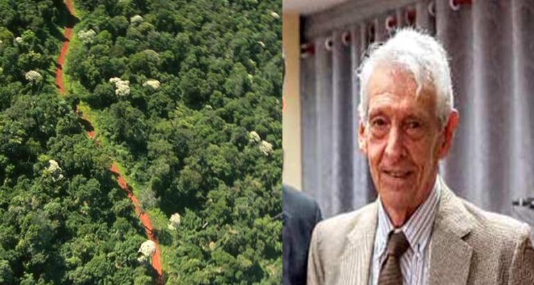 Raúl González, el ingeniero forestal pionero en implementar manejo con fajas ecológicas en plantaciones de pinos, práctica que ahora es ley en Misiones