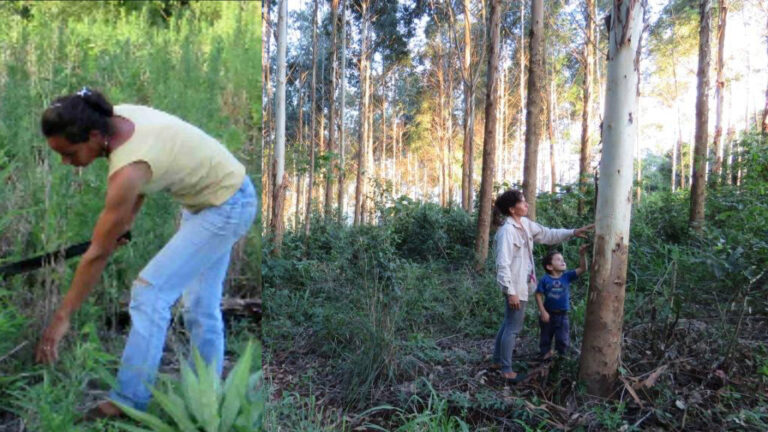 Selva Williams: de trabajadora rural a experta en manejo silvícola y aprovechamiento de madera en Colonia El Saltito