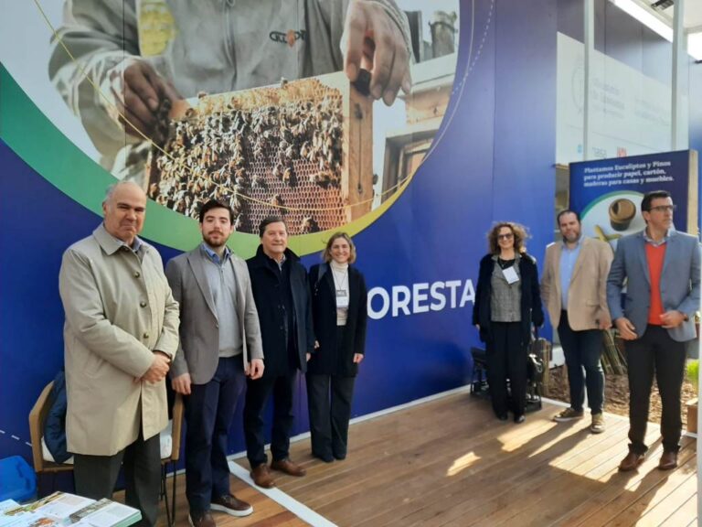 Agricultura y CONFIAR se unieron para promover el Régimen de Incentivo a las Grandes Inversiones como oportunidad para el sector foresto-industrial