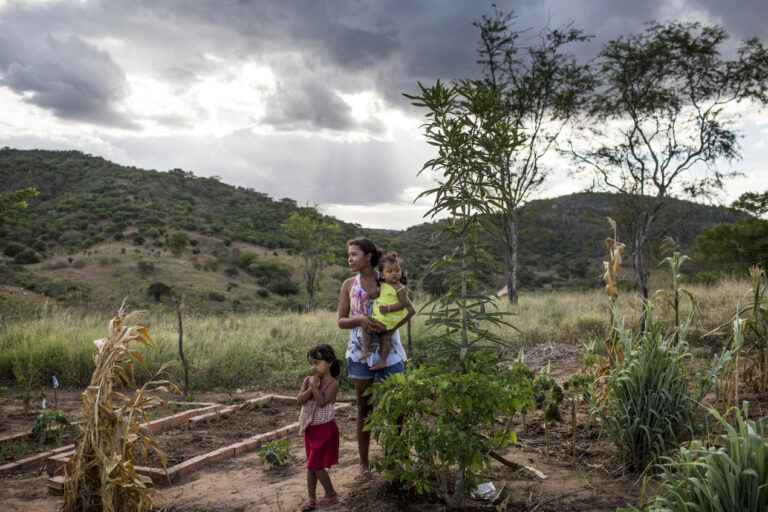 FIDA invirtió más de USD 3.300 millones en desarrollo rural y fortalece su apuesta por la adaptación climática en 2025