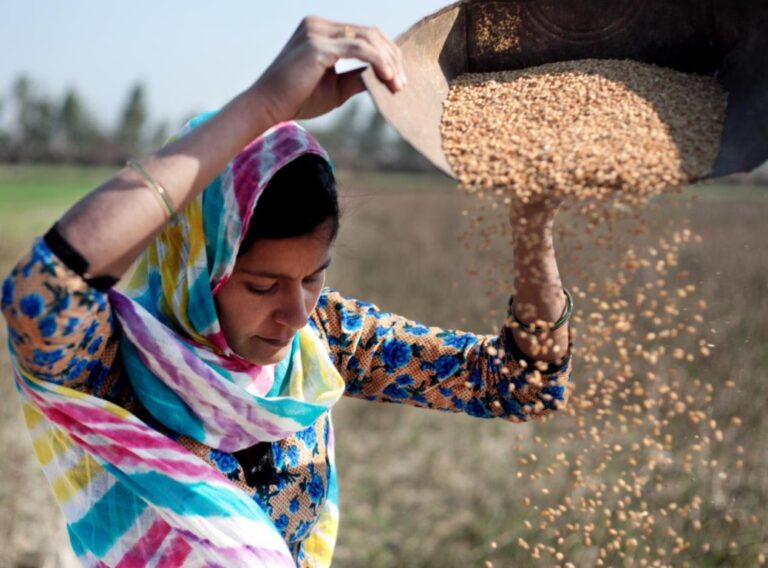 Informe de la ONU sobre el hambre en el mundo: la inseguridad alimentaria y la malnutrición continúan afectando a un número alarmante de personas