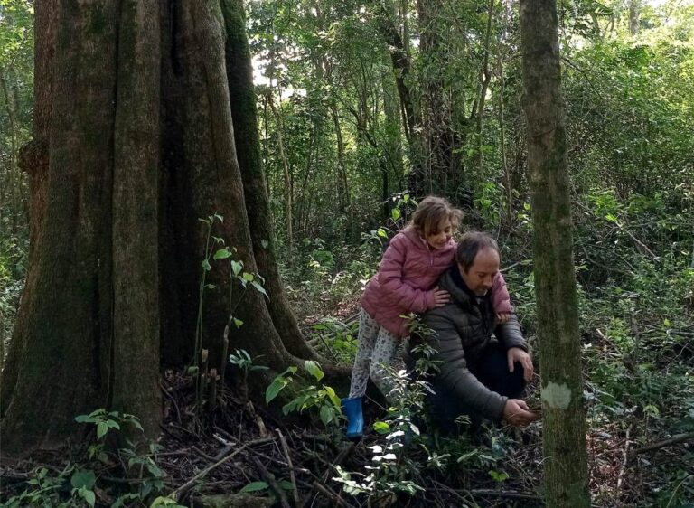Misiones | De la ciudad al campo, el refugio ecoturístico Sucot logra combinar cría de ovejas y animales de granja en armonía con la biodiversidad de la selva misionera