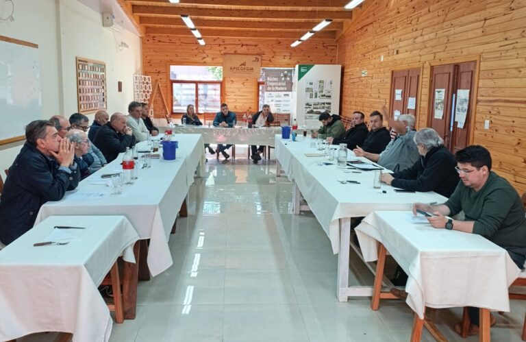 Misiones | Para PyMEs es crucial abordar desafíos en logística y costos energéticos en la industria foresto-industrial para crecer
