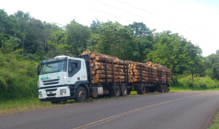 Daniel Durán: «El futuro de las PyMEs madereras en Misiones dependerá de una integración cada vez mayor con las plantaciones y la cosecha para ser competitivas”