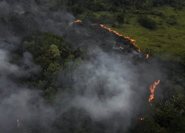 Brasil | Las penas por provocar incendios forestales con índices de peligro podrían aumentar hasta 10 años de prisión