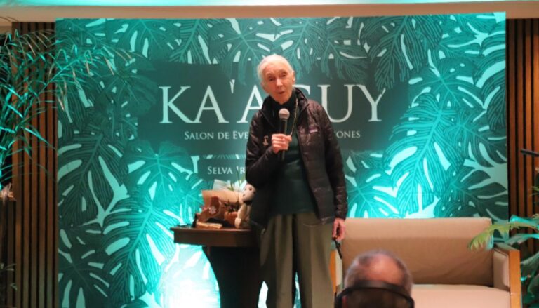 Jane Goodall en Misiones: una voz global en defensa de la biodiversidad que inspira a los jóvenes a proteger la naturaleza