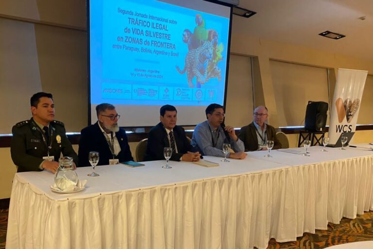 Expertos internacionales se reúnen en Iguazú para abordar la problemática del tráfico ilegal de vida silvestre que amenaza la biodiversidad de la región