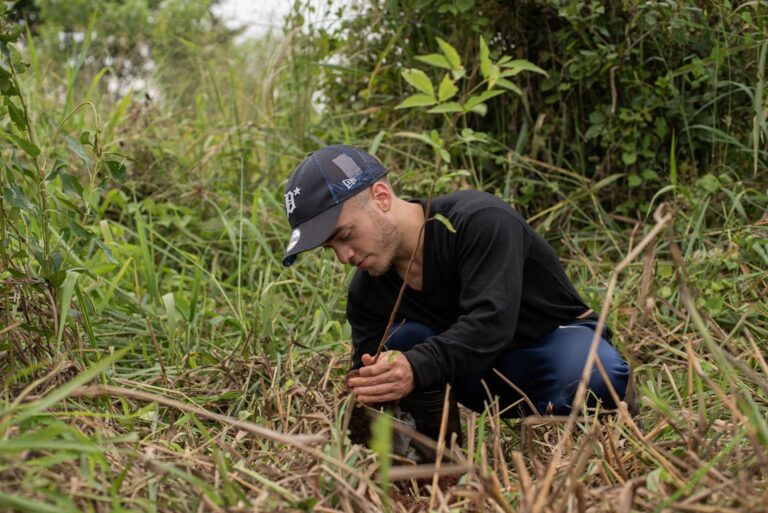 Aves Argentinas lanzó ambiciosa campaña para restaurar con 90 mil árboles nativos el Bosque Atlántico al 2025