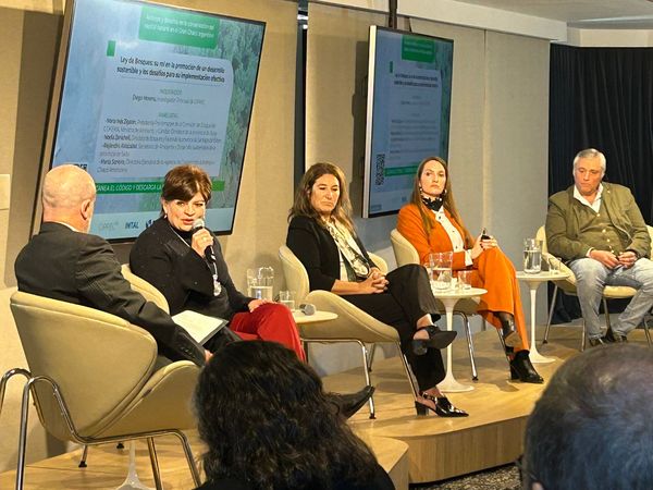 Jujuy | Representantes de la provincia expusieron sobre deforestación y la gestión de bosques nativos en el Gran Chaco en seminario del BID