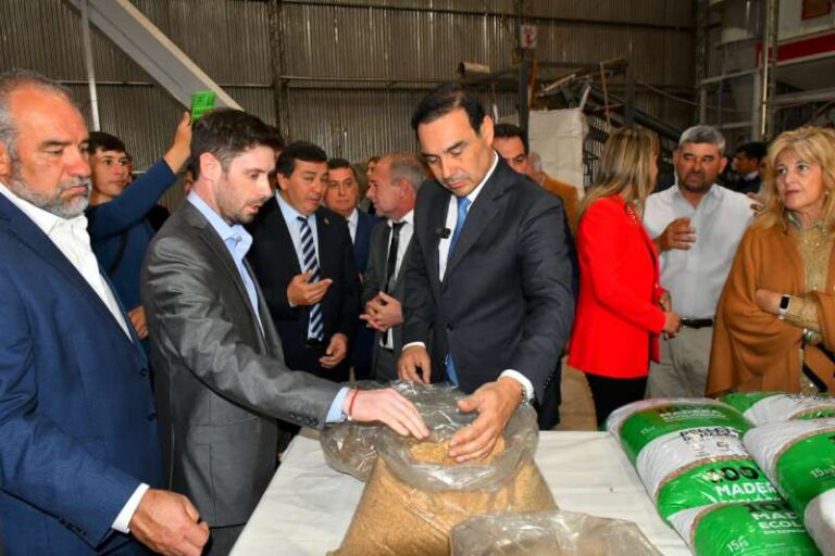Corrientes | Inauguraron una nueva fábrica de pellets en el Parque Foresto-industrial de Santa Rosa