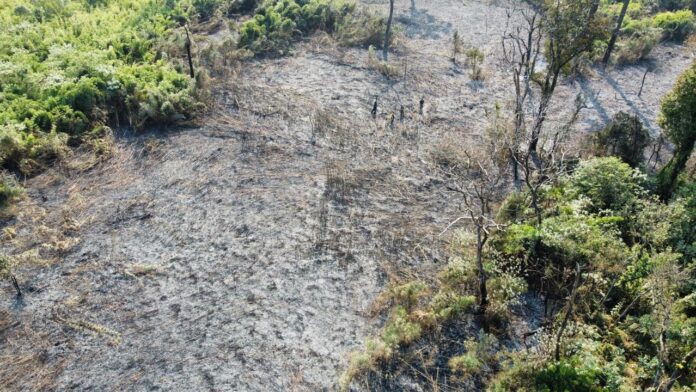 Parque Provincia Araucaria