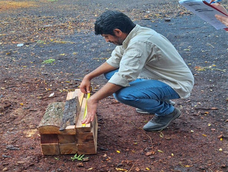 Cuenca Forestal El Impenetrable | En el marco del Programa REDD+ proponen la elaboración de tableros alistonados a partir de especies nativas