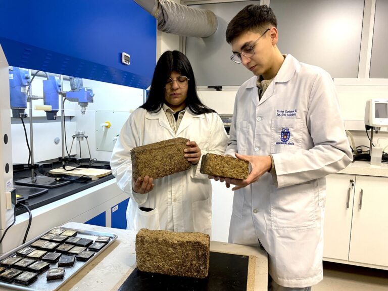 Chile | Dos estudiantes de ingeniería de la Universidad del Bío-Bío crearon una briqueta ecológica que reduce en un 99% las emisiones contaminantes