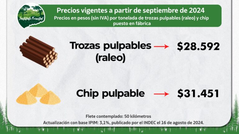 InFoPro Misiones | Rigen nuevos precios en septiembre de la materia prima: la tonelada de raleo subió a $28.592 y el Chip pulpable $31.451