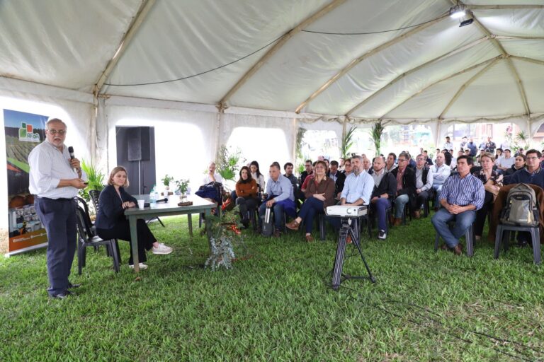 Corrientes | Analizaron el presente y futuro de la foresto-industria integrada a la producción rural como alternativa de negocio en la región 