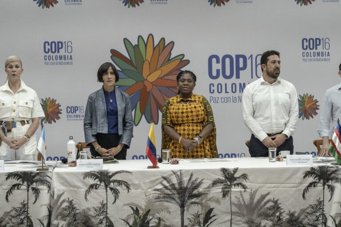 COP16 de Biodiversidad: Organizaciones civiles de Latinoamérica exigen una conservación inclusiva y equitativa