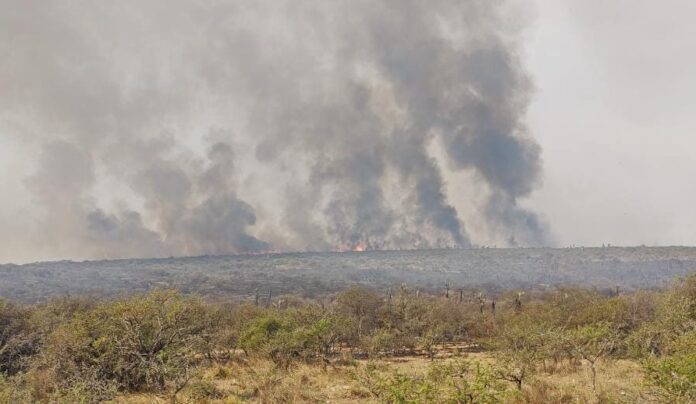 Cordoba Incendios