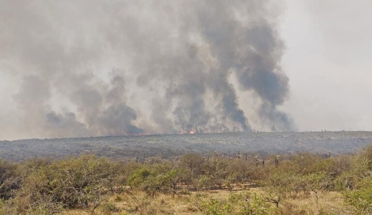 Córdoba | Con índice extremo de propagación de incendios, más de 14 dotaciones de bomberos luchan contra las llamas en Calamuchita