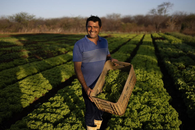 Desarrollo productivo | El G20 en Brasil, el FIDA y el IICA acuerdan reforzar su trabajo conjunto para combatir la pobreza rural en América Latina y el Caribe