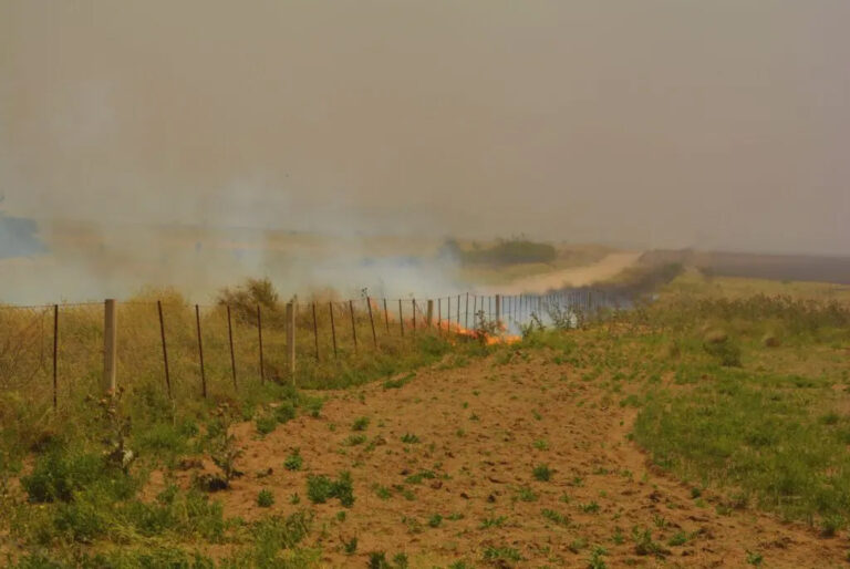 ¿Cómo reducir el riesgo de incendios?: Recomendaciones de especialistas del INTA ante la temporada crítica de primavera y verano