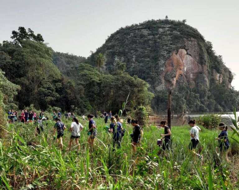 Misiones | Compromiso comunitario en la limpieza de las costas del Río Paraná en la Península de Teyú Cuaré