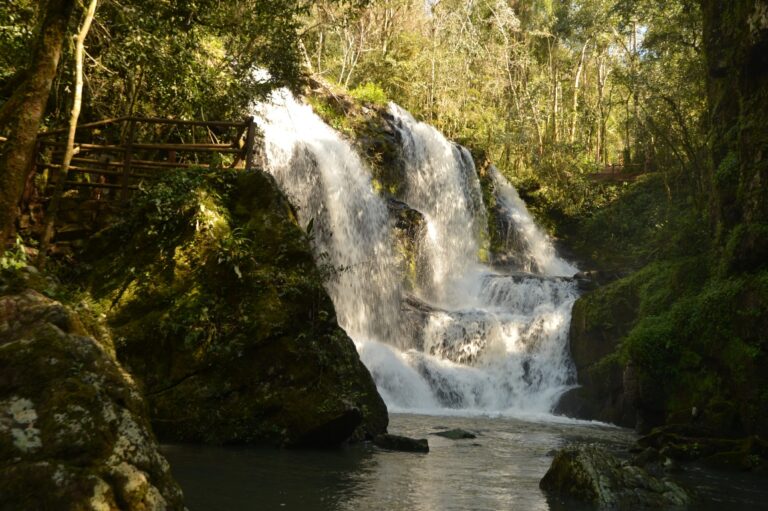 La UNESCO resalta el valor estratégico de la Reserva Yabotí para el equilibrio ambiental en América Latina