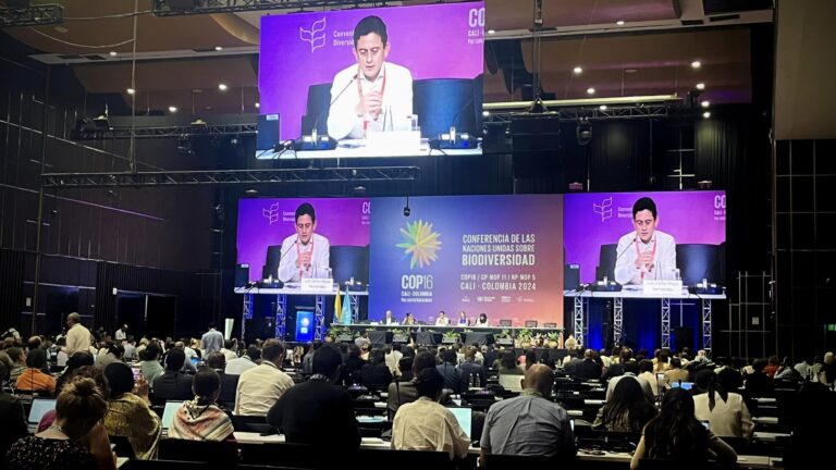 COP16 en Colombia | Una primera semana de intensas negociaciones globales y desafíos para evitar la pérdida de biodiversidad