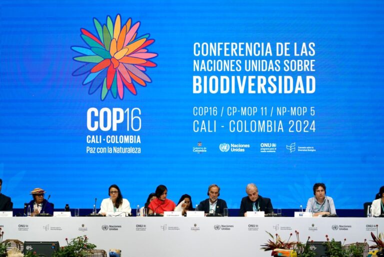 COP16 en Colombia | Argentina se retrasa en la entrega de su Estrategia Nacional de Biodiversidad en la cumbre mundial de Naciones Unidas