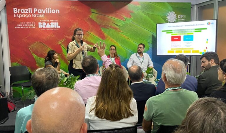 COP16 en Colombia | Pastizales y sabanas, ecosistemas cruciales de conservación para alcanzar los objetivos de biodiversidad