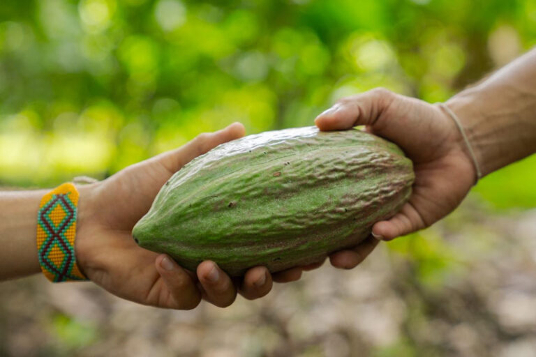 COP16 en Colombia | Piden mayor financiamiento para pequeños productores de alimentos y conservación de la biodiversidad 